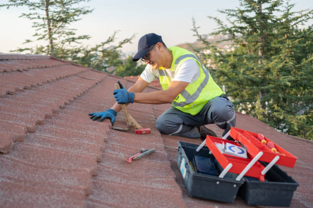 Best Metal Roofing Contractor  in New Athens, IL