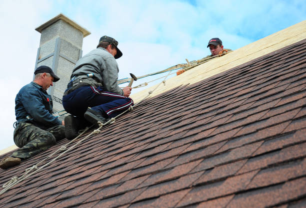Best Shingle Roofing Installation  in New Athens, IL